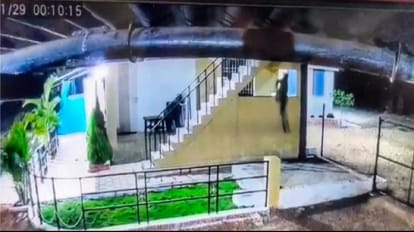 दीवार पर चढ़ा तेंदुआ...