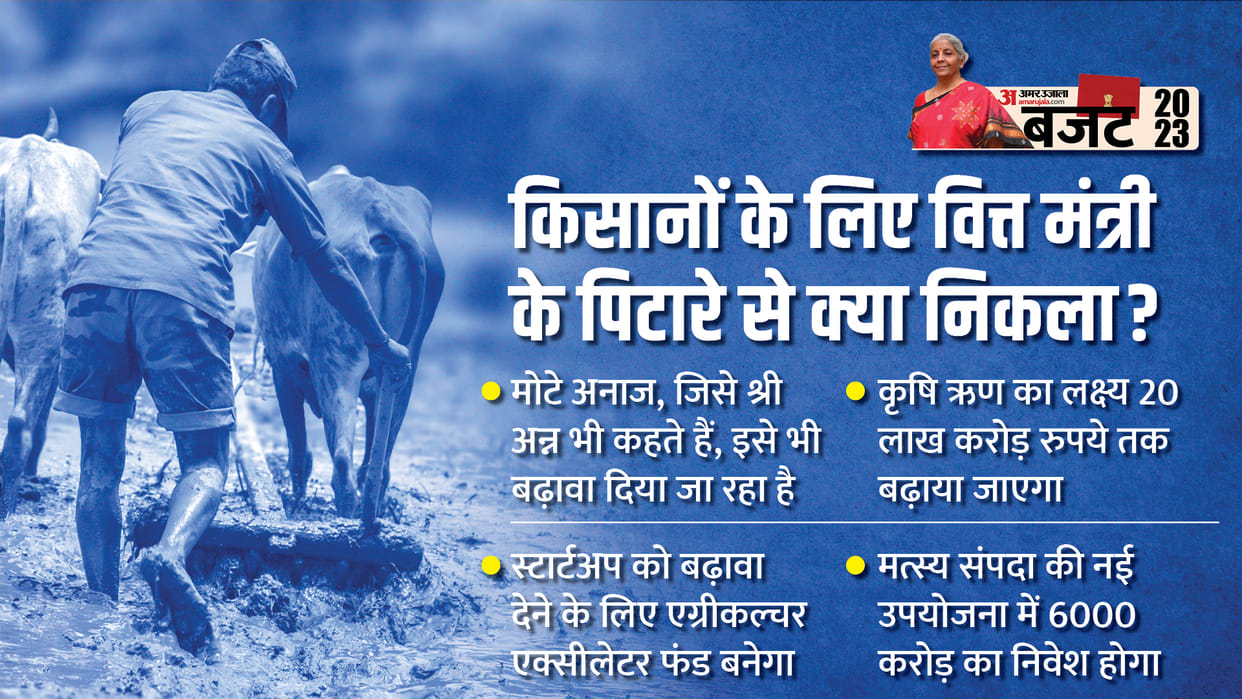 Union Budget 2023 FM Sitharaman Announced Budget for Agriculture Sector Farming Schemes PM Kisan Samman Nidhi