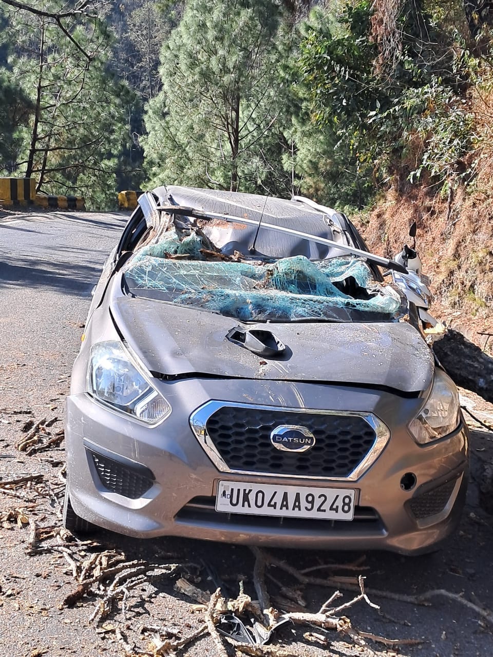 Food blogger Ashish Chandra Accident in Haldwani tree fell on the car Uttarakhand news in hindi