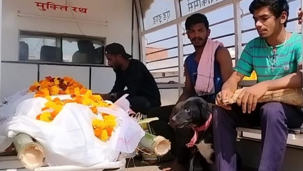 loyalty of a dog: after death of owner dog accompanied till last rites in jagdalpur