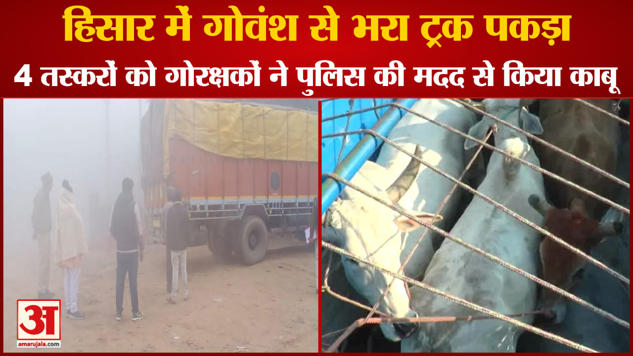हिसार