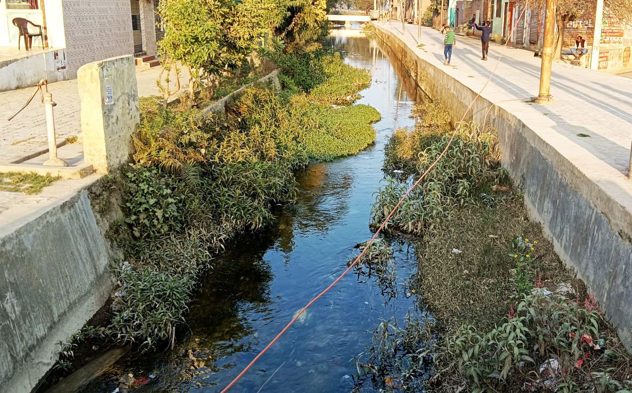 Crores shed on cleanliness but bushes have grown... canals are overflowing