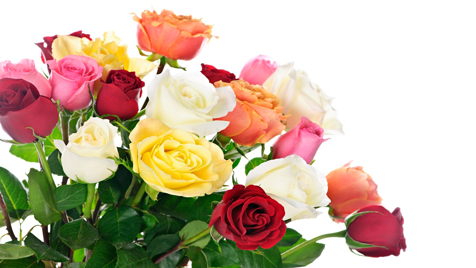 propose day 2024 how to propose girlfriend Or boyfriend
