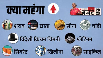 Union Budget 2023 Mehenga Sasta What commodities price increased what down News and updates