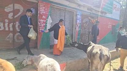 MP News: उमा भारती ने मधुशाला को बना दिया गौशाला, शराब की दुकान के सामने बांधी गायें उमा भारती ने मधुशाला को बना दिया गौशाला