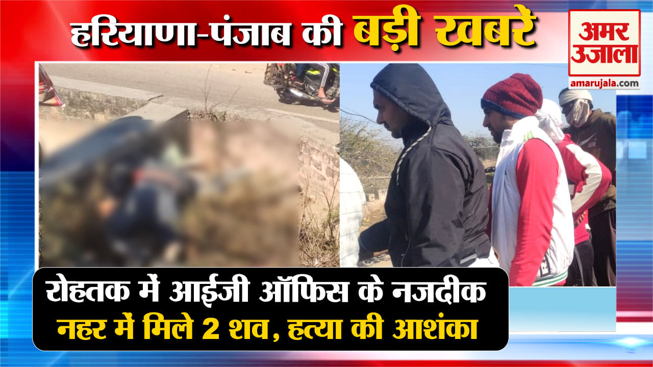 हरियाणा न्यूज