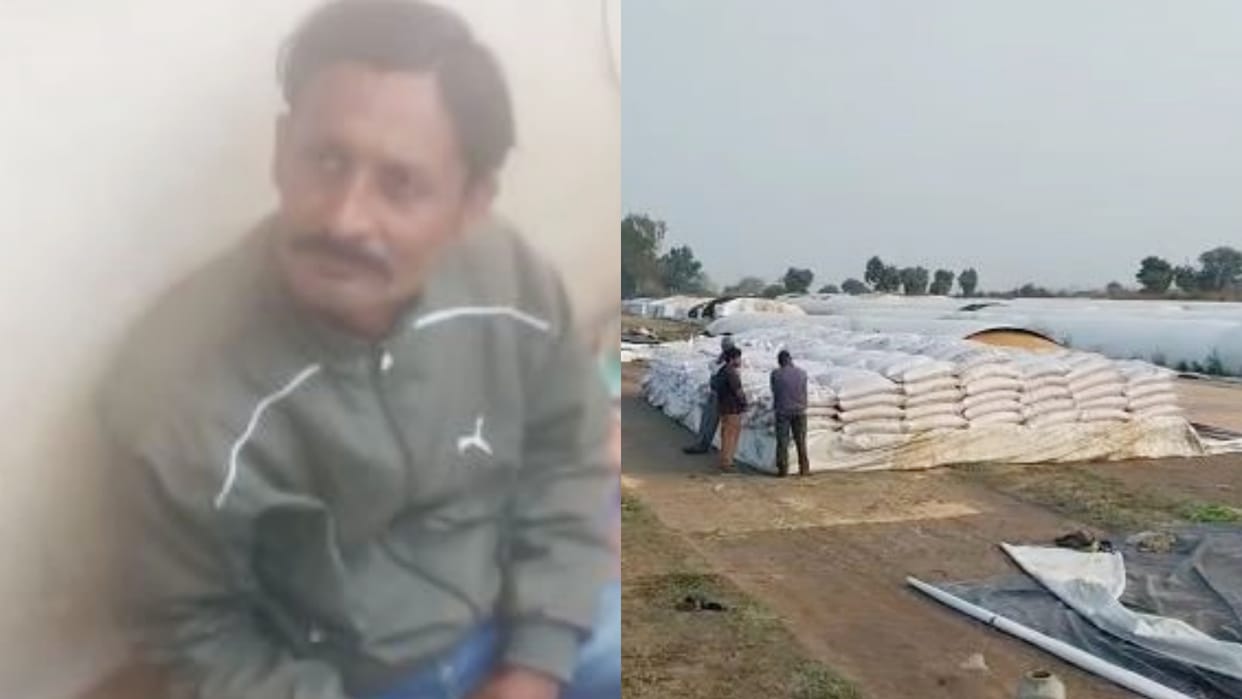 Satna To increase the weight of the poor used to mix sand and soil in wheat storage