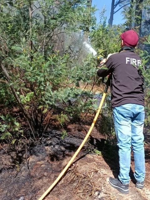 Fire At Kasardevi Jungle