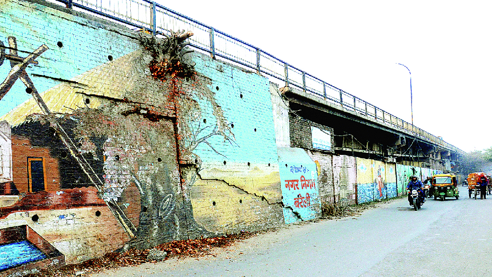 cracks in the walls of the Bareilly Qila Bridge due to trees