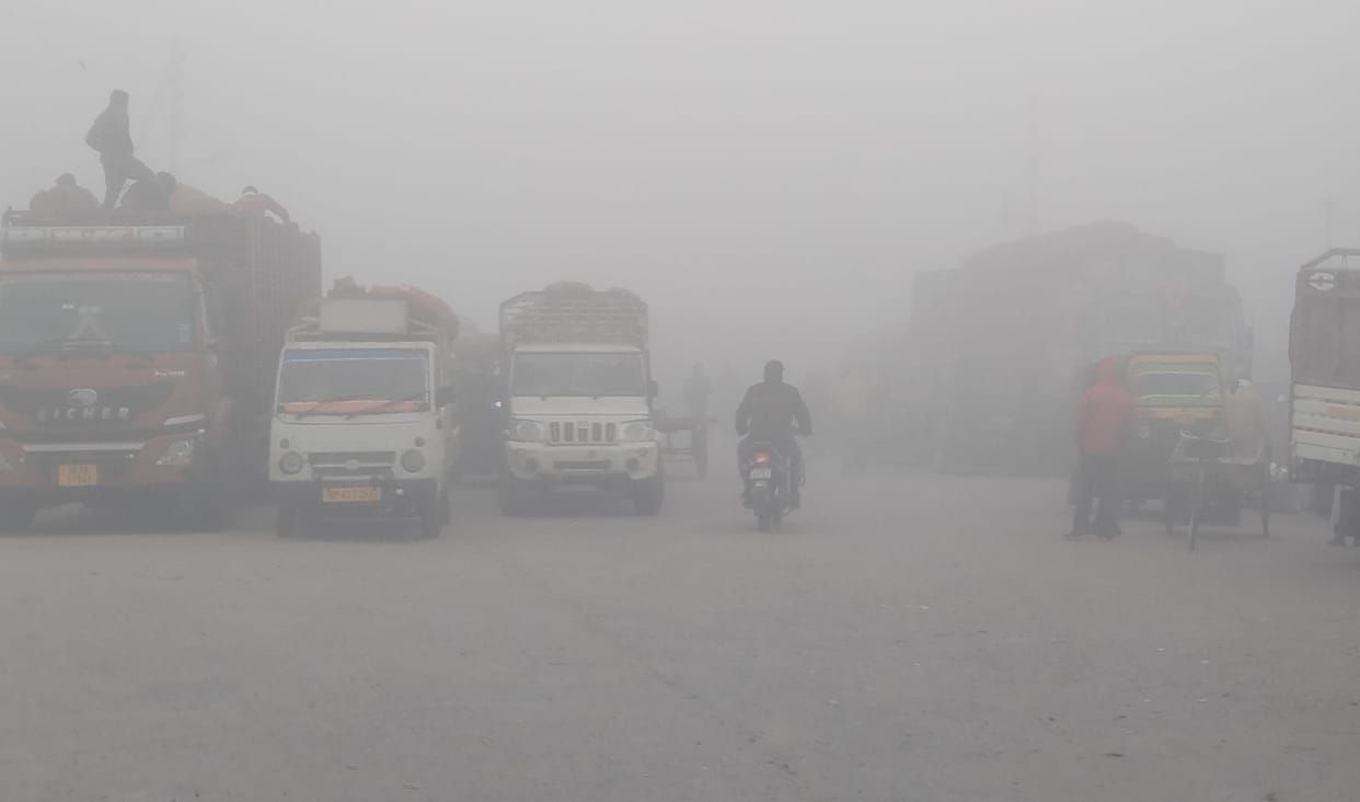 fog on morning