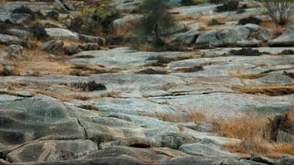 Optical Illusion Challenge: Can you spot the leopard in the rocks within 5 seconds Check your brain iq