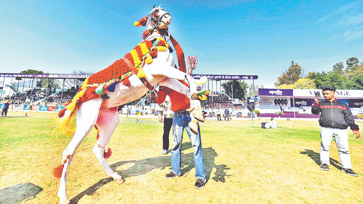 Kila Raipur Sports Fair organized in Ludhiana