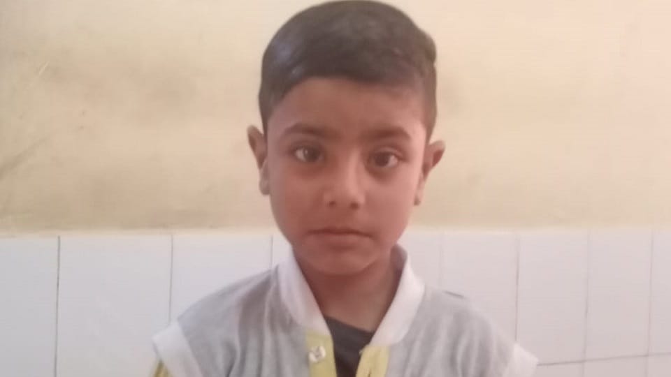 Terror of monkeys in Sahapau attack on innocent playing injured