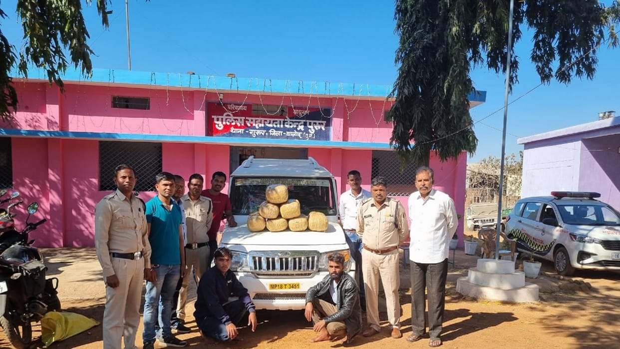 two arrested with 33 kg ganja in chhattisgarh balod