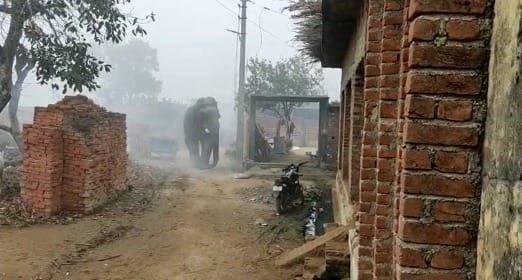 Meerut News Live: Read western up latest news in one click