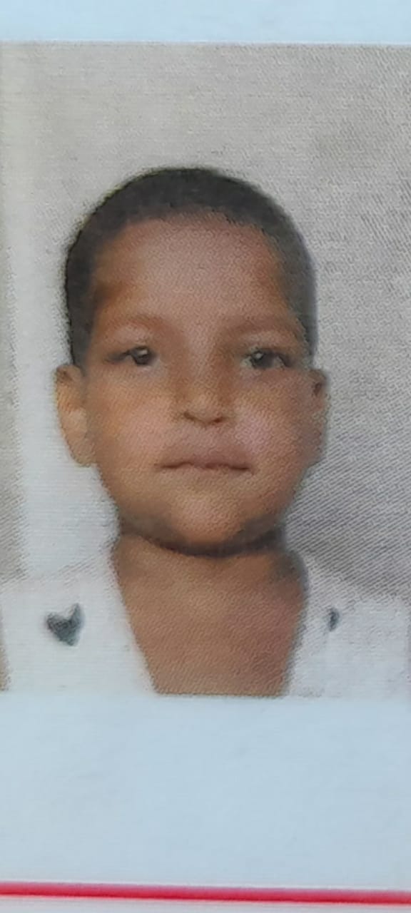 Boy dies after coming under wheel of buggy