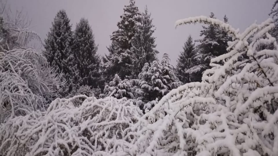Uttarakhand Weather News Today Heavy Snowfall In Auli Amazing Photos