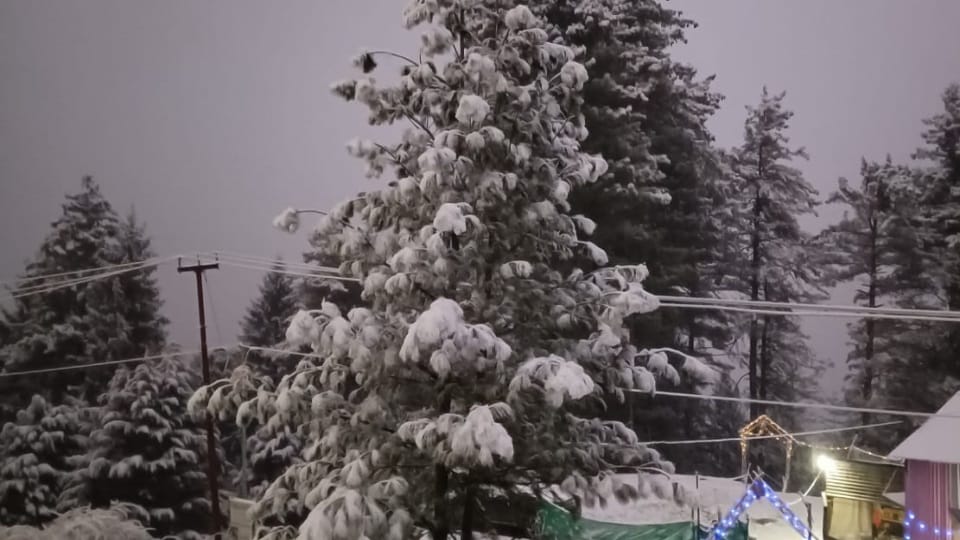 Uttarakhand Weather News Today Heavy Snowfall In Auli Amazing Photos