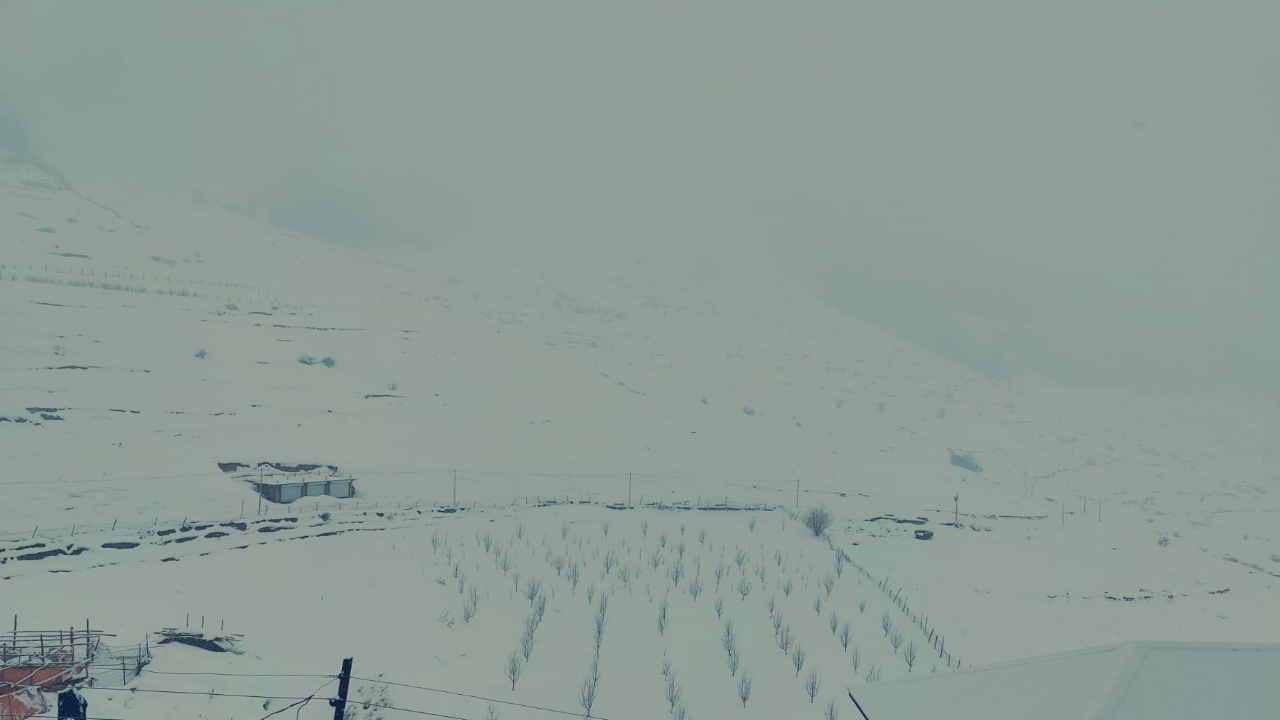 Himachal weather: Snowfall in the higher reaches, many roads and power transformers disrupted