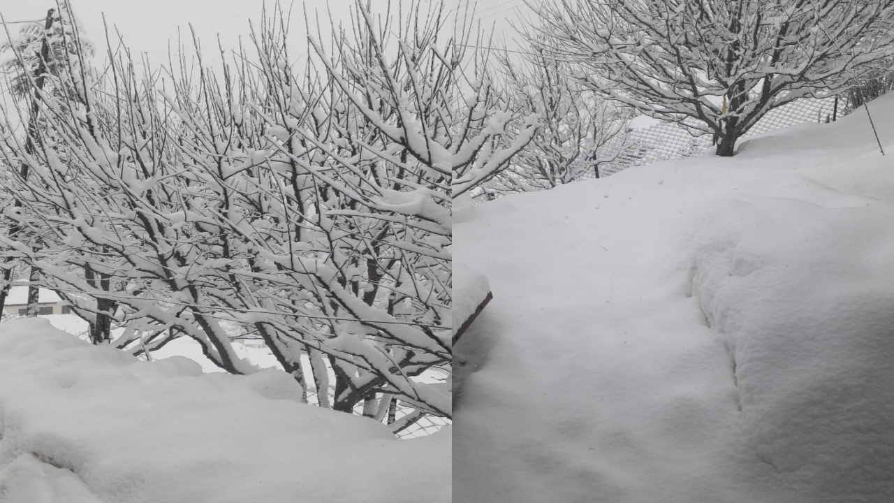 Himachal weather: Snowfall in the higher reaches, many roads and power transformers disrupted