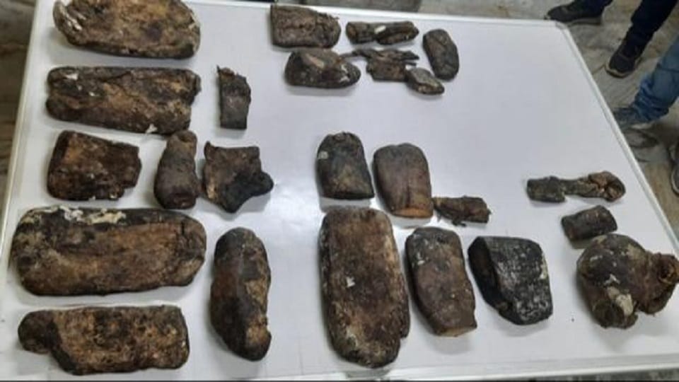 Guwahati Customs Division seized 11.56 kgs of a solid wax inflammable substance Whale Vomiting