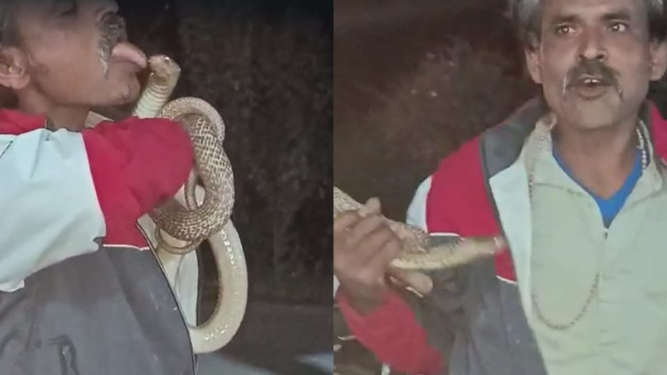 man doing stunt with snake in Deoria died after touching tongue