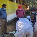मुर्गियों की मौत के बाद पालिकाकर्मियों ने उन्हें दफनाया।