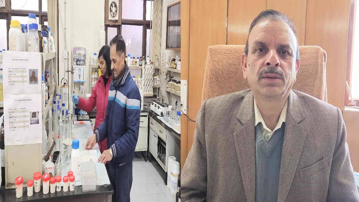 The properties of ginger and basil in Dhingri mushroom will increase immunity