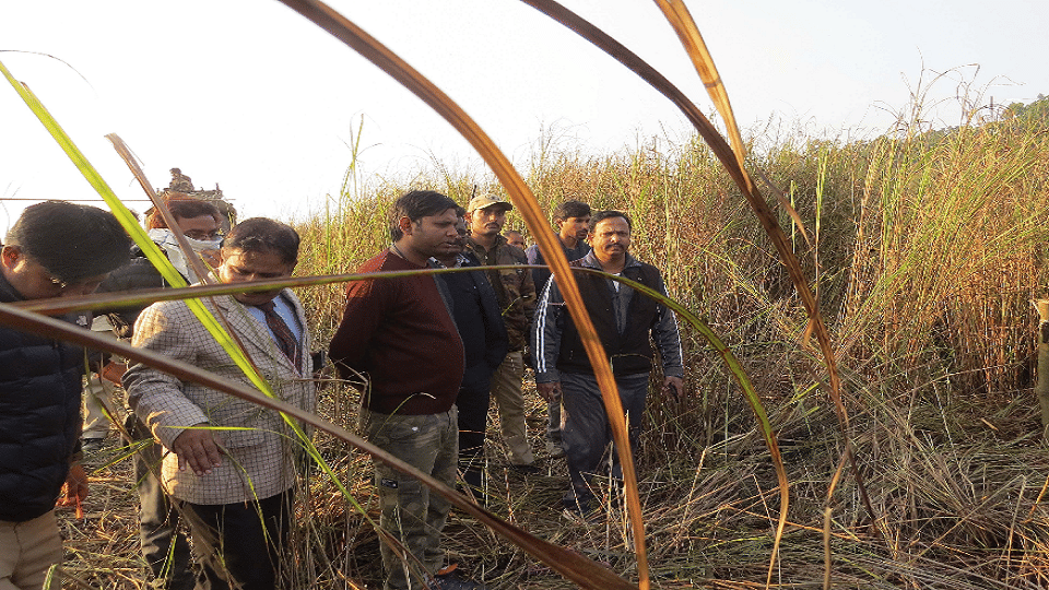 Rhino killed in conflict with tiger in Sonaripur range of Dudhwa National Park