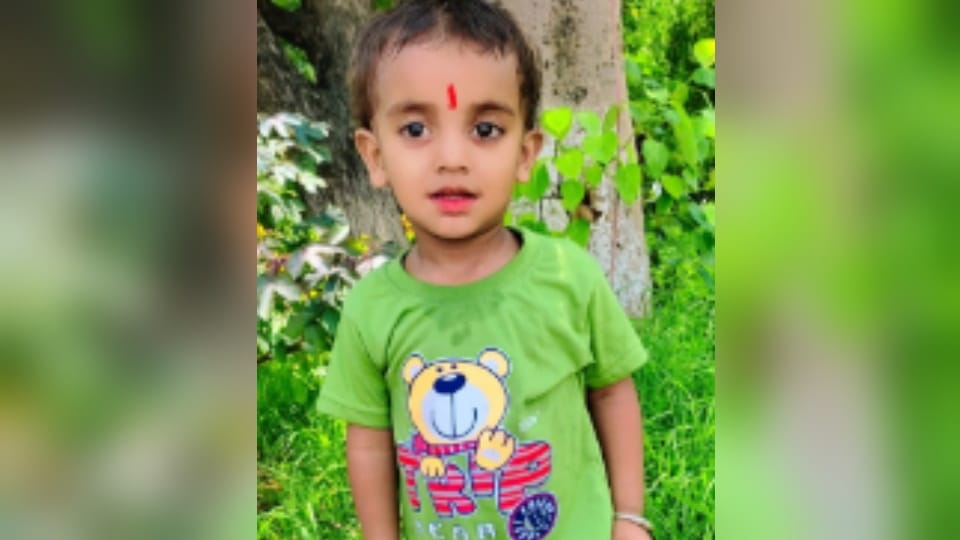 Child killed by speeding pickup in Pilana village of Kalanaur