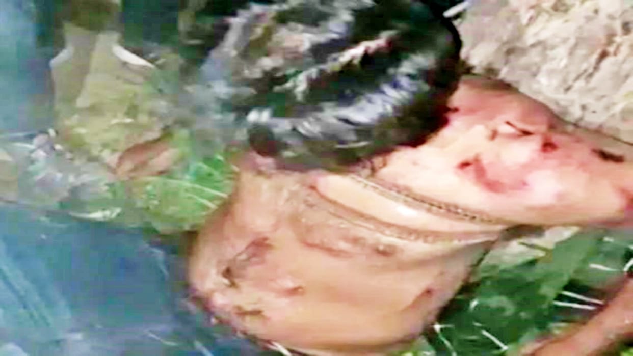Villagers thrashed youth by tying him to a tree in Jalore