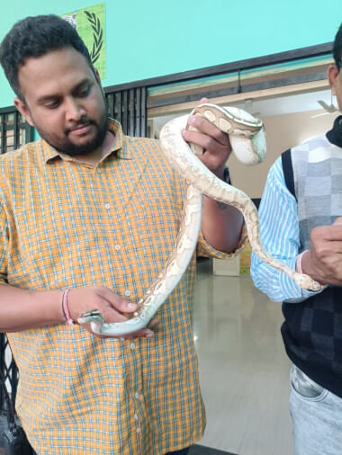इंदौर जू में आए कई तरह की प्रजाति के सांप।