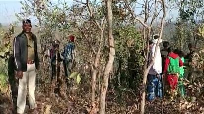 हाथियों का झुंड शहर के नजदीक पहुंचा