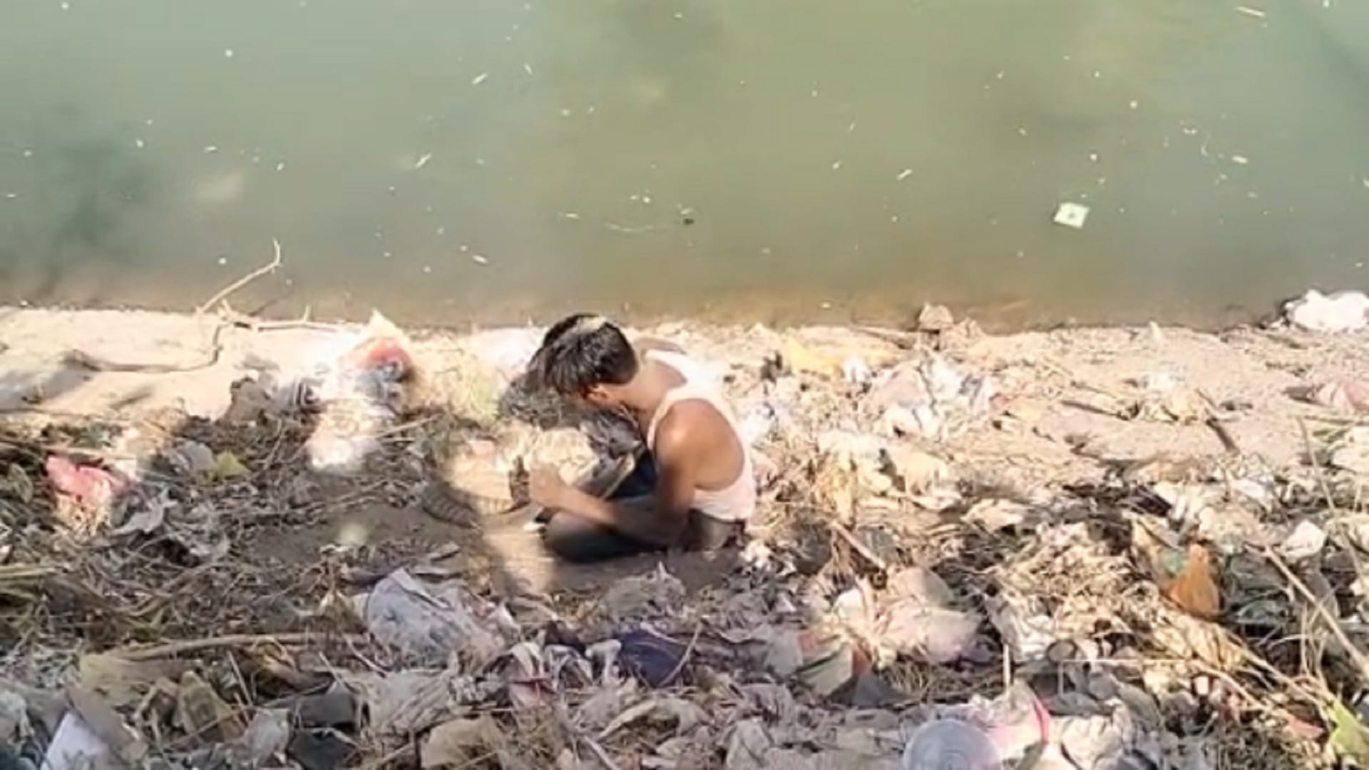 drunk man kept playing with snake in korba, snake video viral