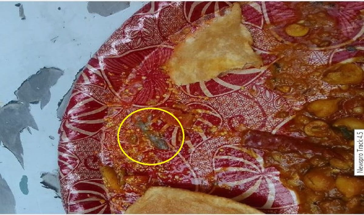 Dead lizard found in pickle during meal in ghazipur six Asha workers ill in training