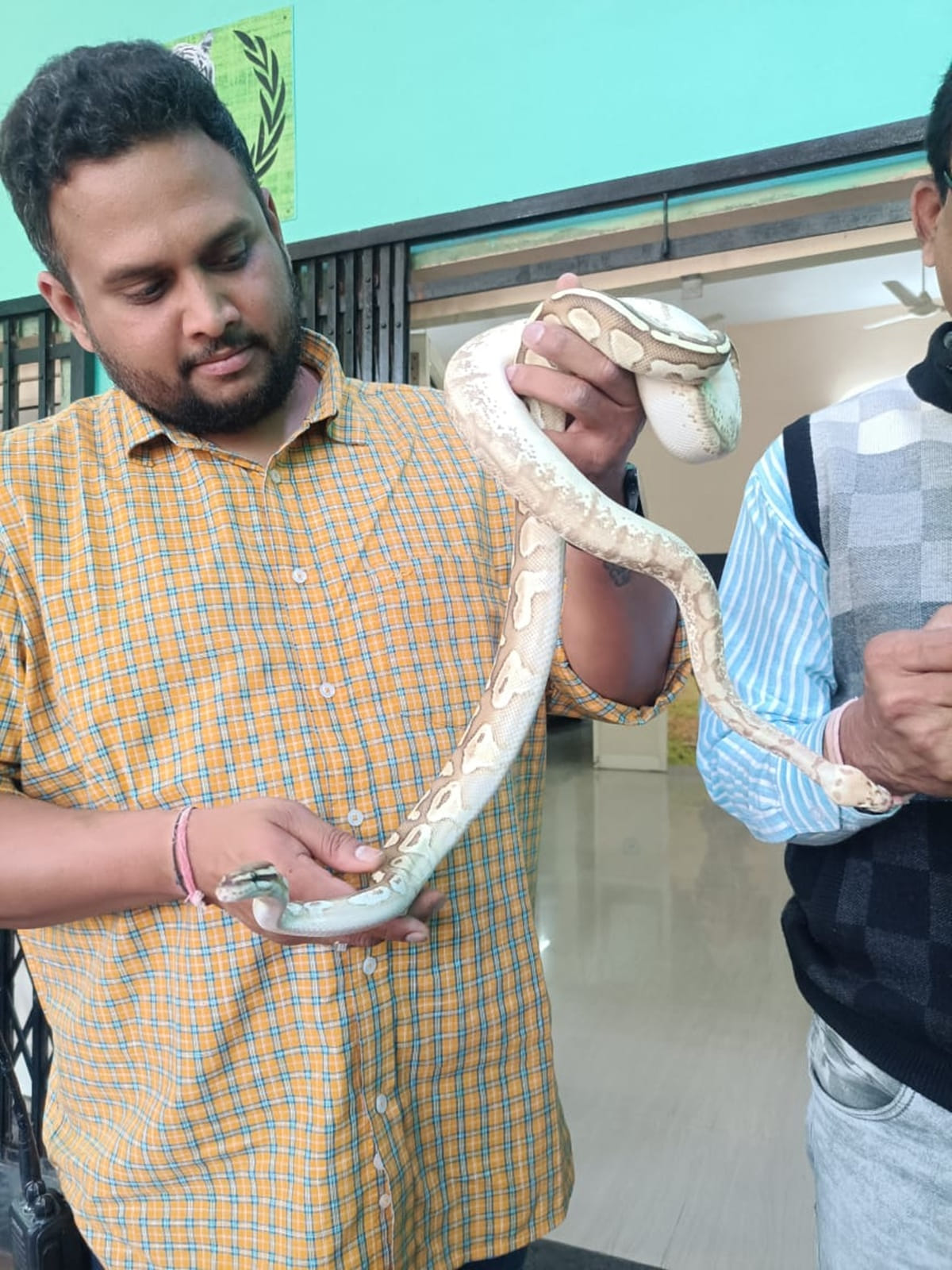 Visitors will be able to see Anaconda in Indore Zoo, African Python also from Jam Nagar