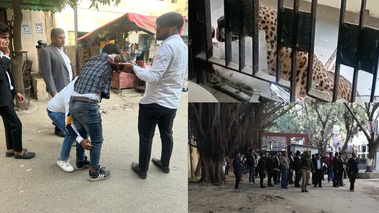 Leopard entered the court in Ghaziabad