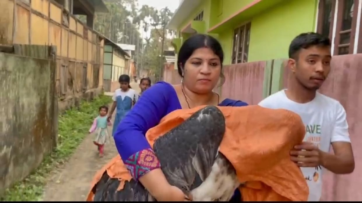 International Day of Women and Girls in Science: Women's Contribution to Ecological Research Field