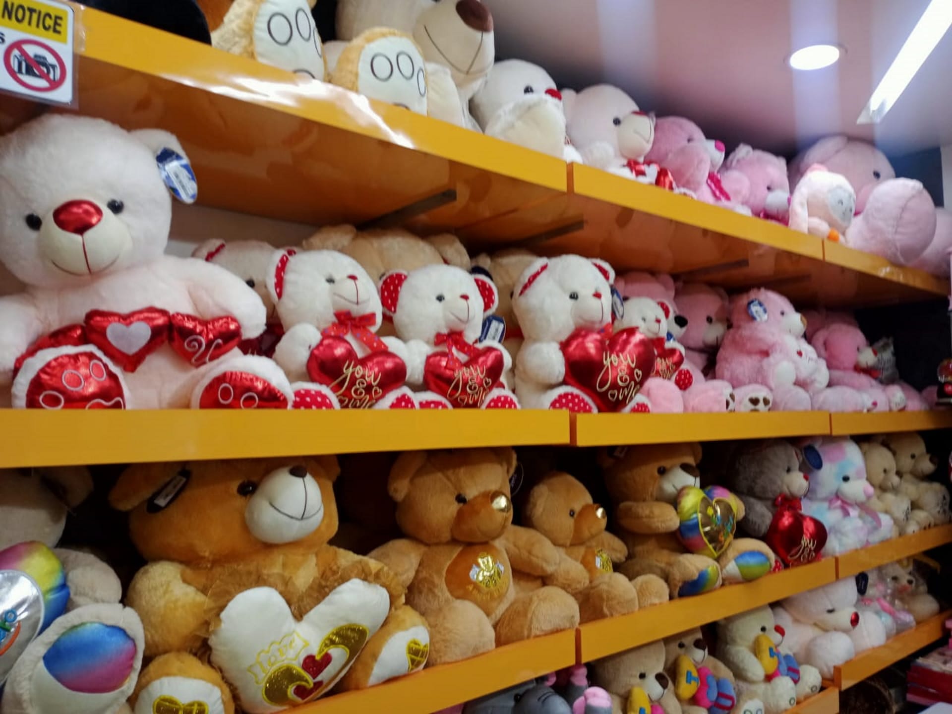 Valentine Week begins with Rose Day Propose Day today Dehradun uttarakhand news in hindi