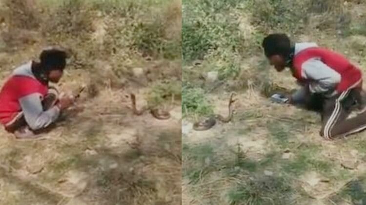 Bihar:सीवान में जहरीले सांप से खेलता रहा शख्स, एक गलती ने ले ली जान - Bihar  Man Kept Playing With Snake In Siwan A Mistake Took His Life - Amar Ujala  Hindi