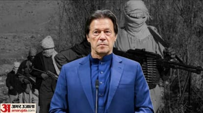 इमरान खान