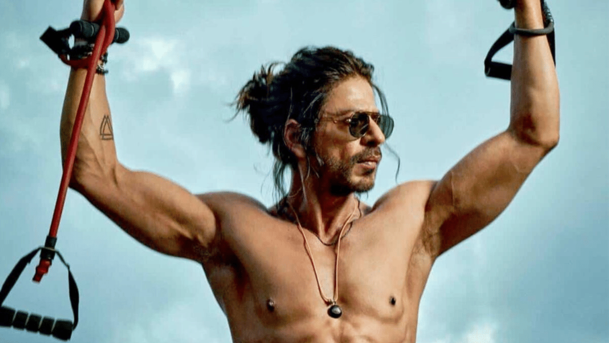 Pathaan Box Office Collection Day 16 India Shah Rukh Khan Deepika Padukone John  Abraham Movie Earnings