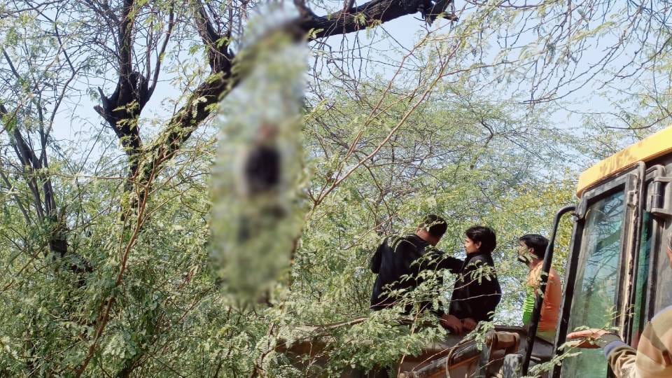 Dead body of young man found hanging on tree in forest in Mathura police is investigating