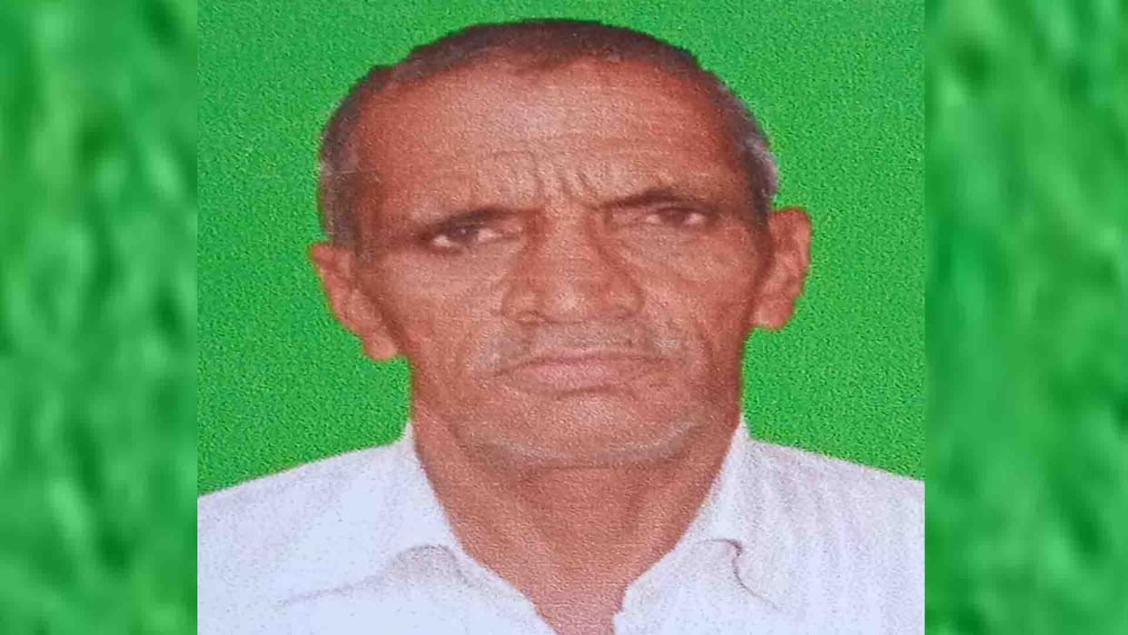 Kanpur: Farmer dies due to bee attack, nephew injured