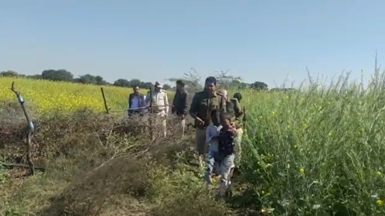Seven blue cows died due to electrocution, the farmer had laid wires around the field to save the crops