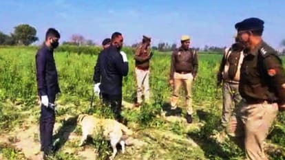 skeleton of an innocent girl missing for 20 days was found lying in mustard field In Kasganj