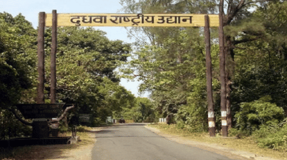 Suspend order to deputy ranger and ranger including forest inspector in death of four tigers in Dudhwa