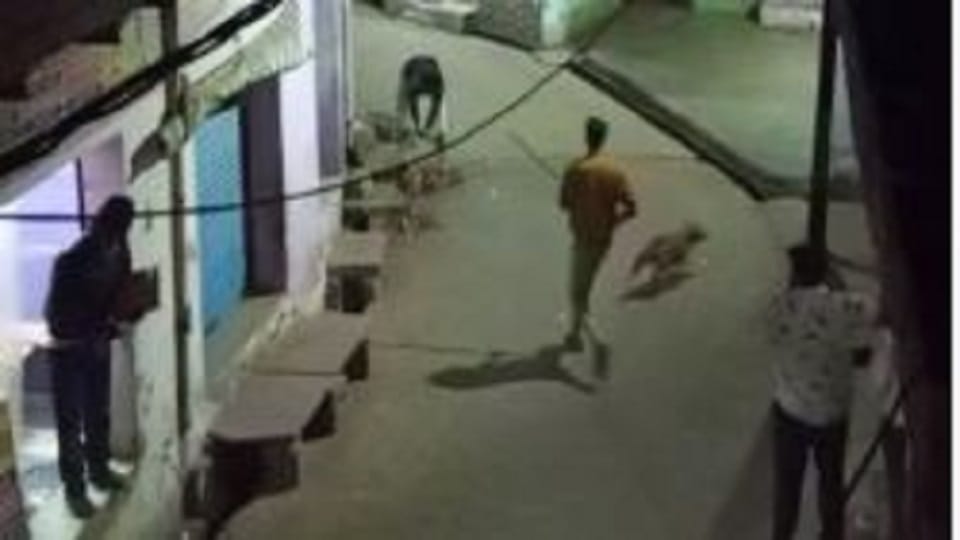 Stray Dog Brutally Beaten To Death Viral Video