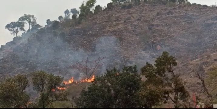 Fire At Bageshwar Forest