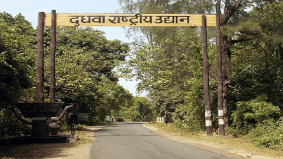 International bloggers will promote Dudhwa Park to the world